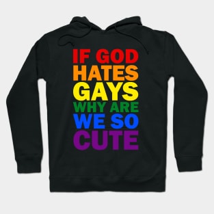 If god hates gays why are we so cute Hoodie